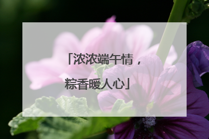 浓浓端午情，粽香暖人心