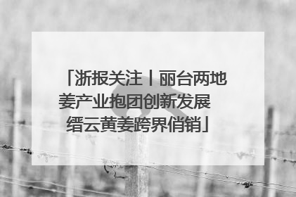 浙报关注丨丽台两地姜产业抱团创新发展 缙云黄姜跨界俏销
