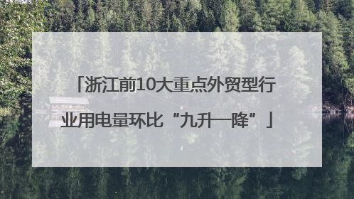 浙江前10大重点外贸型行业用电量环比“九升一降”