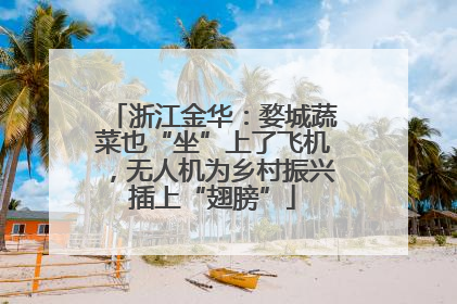 浙江金华：婺城蔬菜也“坐”上了飞机，无人机为乡村振兴插上“翅膀”