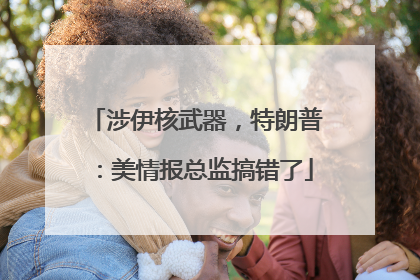 涉伊核武器，特朗普：美情报总监搞错了