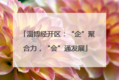 淄博经开区：“企”聚合力，“会”通发展
