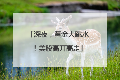 深夜，黄金大跳水！美股高开高走
