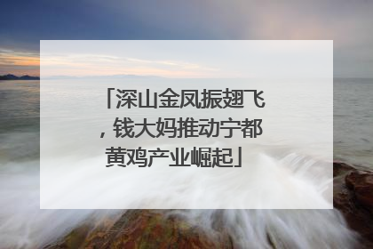 深山金凤振翅飞，钱大妈推动宁都黄鸡产业崛起