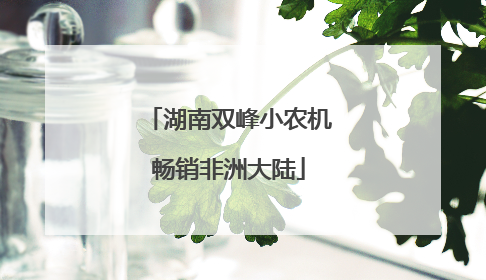 湖南双峰小农机畅销非洲大陆
