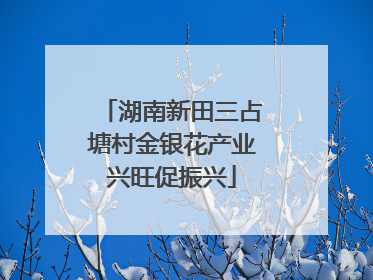 湖南新田三占塘村金银花产业兴旺促振兴