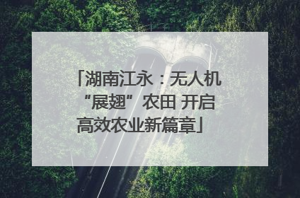 湖南江永：无人机“展翅”农田 开启高效农业新篇章