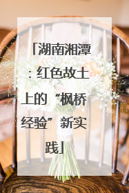 湖南湘潭：红色故土上的“枫桥经验”新实践
