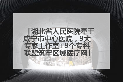 湖北省人民医院牵手咸宁市中心医院，9大专家工作室+9个专科联盟筑牢区域医疗网