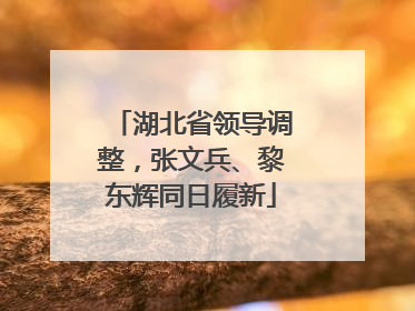 湖北省领导调整，张文兵、黎东辉同日履新