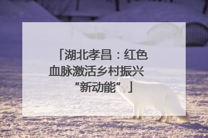 湖北孝昌：红色血脉激活乡村振兴“新动能”