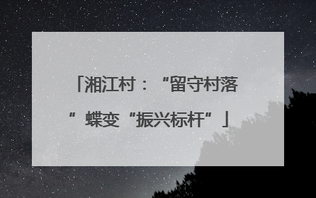 湘江村：“留守村落”蝶变“振兴标杆”