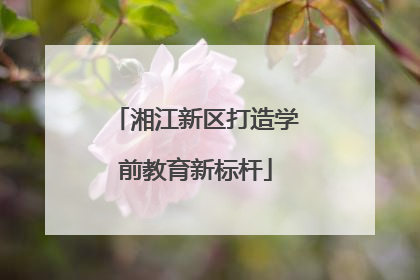 湘江新区打造学前教育新标杆