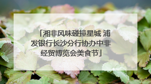 湘非风味碰撞星城 浦发银行长沙分行协办中非经贸博览会美食节