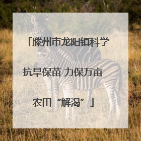 滕州市龙阳镇科学抗旱保苗 力保万亩农田“解渴”