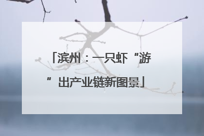 滨州：一只虾“游”出产业链新图景