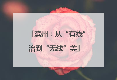 滨州：从“有线”治到“无线”美