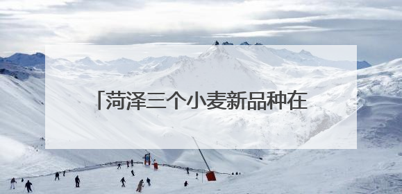 菏泽三个小麦新品种在新疆戈壁滩试种成功