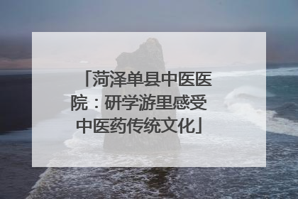 菏泽单县中医医院：研学游里感受中医药传统文化
