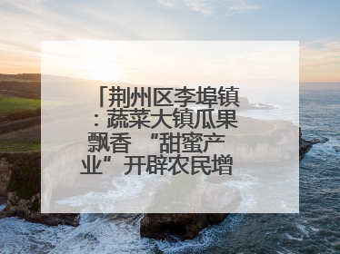 荆州区李埠镇：蔬菜大镇瓜果飘香 “甜蜜产业”开辟农民增收“新赛道”