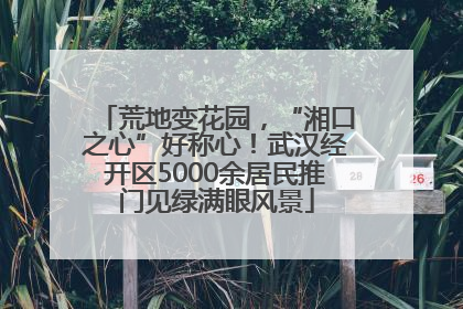 荒地变花园，“湘口之心”好称心！武汉经开区5000余居民推门见绿满眼风景