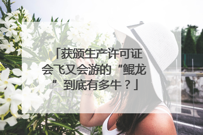 获颁生产许可证 会飞又会游的“鲲龙”到底有多牛？