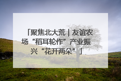 聚焦北大荒｜友谊农场“稻耳轮作”产业振兴“花开两朵”
