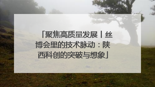 聚焦高质量发展丨丝博会里的技术脉动：陕西科创的突破与想象
