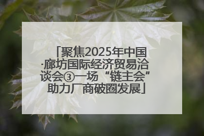 聚焦2025年中国·廊坊国际经济贸易洽谈会③一场“链主会” 助力厂商破圈发展