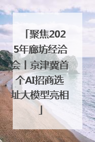 聚焦2025年廊坊经洽会丨京津冀首个AI招商选址大模型亮相