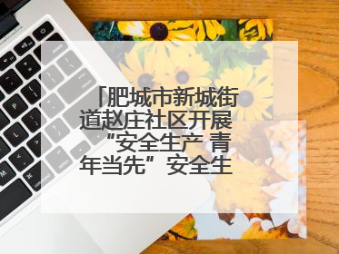 肥城市新城街道赵庄社区开展“安全生产 青年当先”安全生产月系列活动