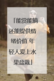 能赏能摘还能提供情绪价值 年轻人爱上水果盆栽