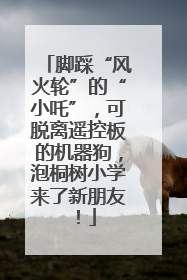 脚踩“风火轮”的“小吒”，可脱离遥控板的机器狗，泡桐树小学来了新朋友！