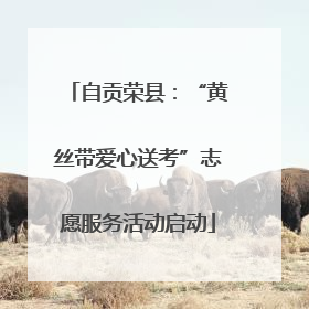 自贡荣县：“黄丝带爱心送考”志愿服务活动启动