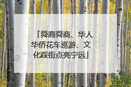 舜裔舜商、华人华侨花车巡游、文化踩街点亮宁远