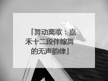 舞动离歌：嘉禾十二段伴嫁舞的无声韵律