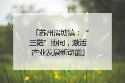 苏州渭塘镇：“三链”协同，激活产业发展新动能