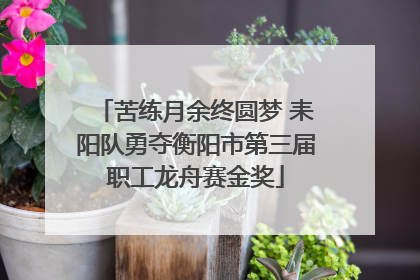 苦练月余终圆梦 耒阳队勇夺衡阳市第三届职工龙舟赛金奖