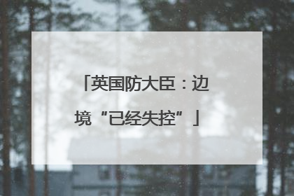 英国防大臣：边境“已经失控”