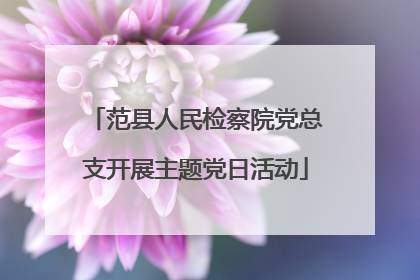 范县人民检察院党总支开展主题党日活动