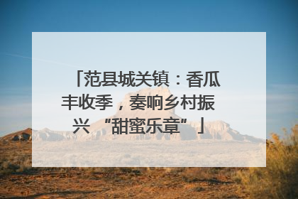 范县城关镇：香瓜丰收季，奏响乡村振兴 “甜蜜乐章”