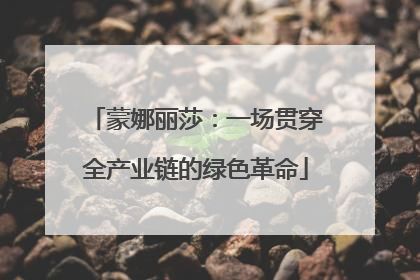 蒙娜丽莎：一场贯穿全产业链的绿色革命