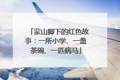蒙山脚下的红色故事：一所小学、一盏茶碗、一匹病马