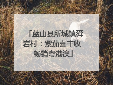 蓝山县所城镇舜岩村：紫茄喜丰收 畅销粤港澳