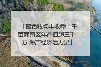 蓝色牧场丰收季：千亩养殖区年产值超三千万 海产经济活力足