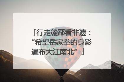 行走赣鄱看非遗：“希望岳家拳的身影遍布大江南北”