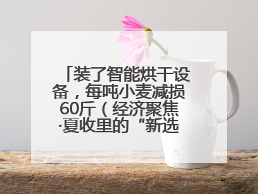 装了智能烘干设备，每吨小麦减损60斤（经济聚焦·夏收里的“新选手”）