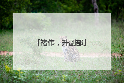褚伟，升副部