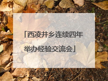 西凌井乡连续四年举办经验交流会