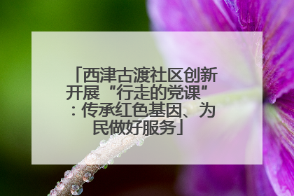 西津古渡社区创新开展“行走的党课”：传承红色基因、为民做好服务